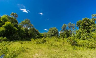 For sale land in Mueang Ubon Ratchathani, Ubon Ratchathani