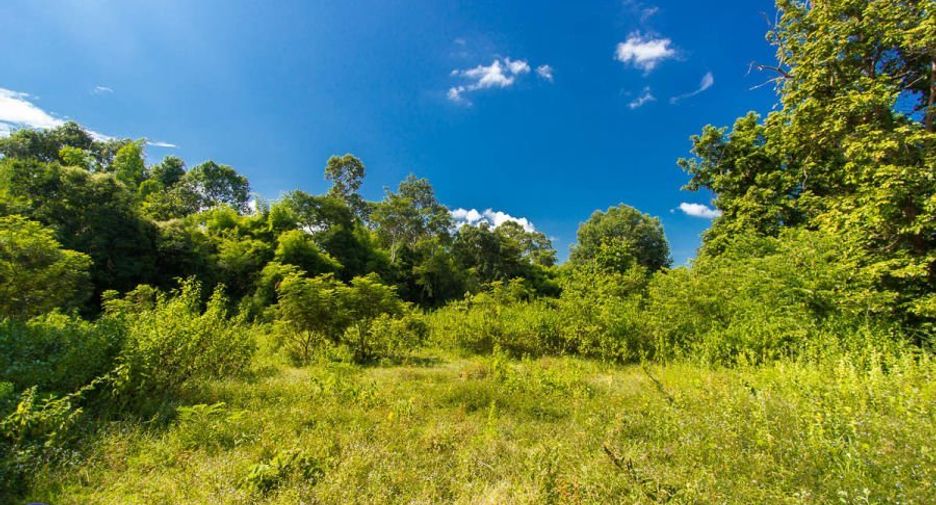 For sale land in Mueang Ubon Ratchathani, Ubon Ratchathani