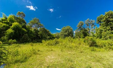 For sale land in Mueang Ubon Ratchathani, Ubon Ratchathani
