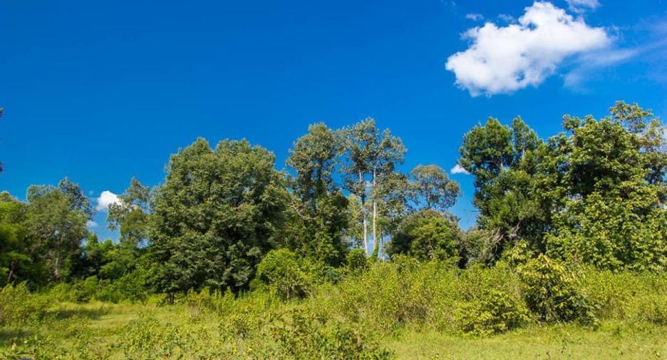 For sale land in Mueang Ubon Ratchathani, Ubon Ratchathani