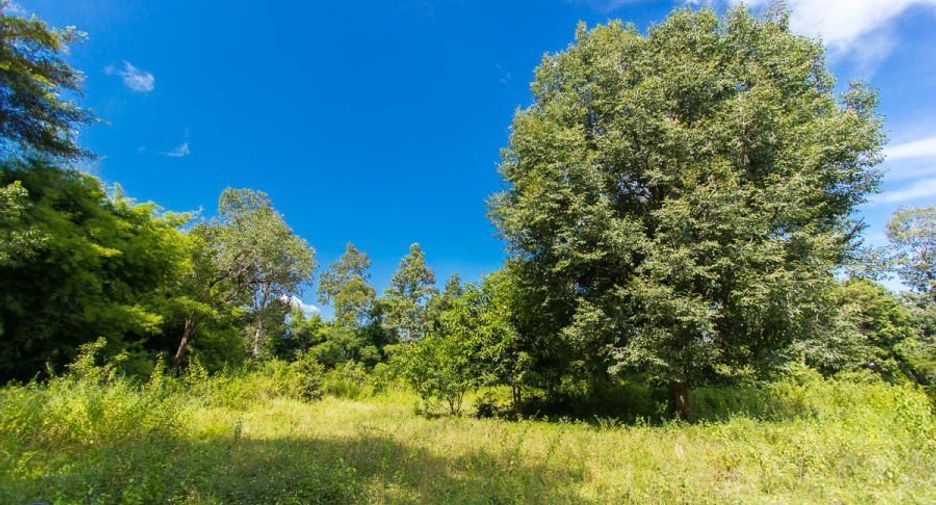 For sale land in Mueang Ubon Ratchathani, Ubon Ratchathani
