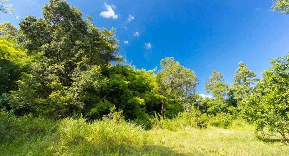 For sale land in Mueang Ubon Ratchathani, Ubon Ratchathani