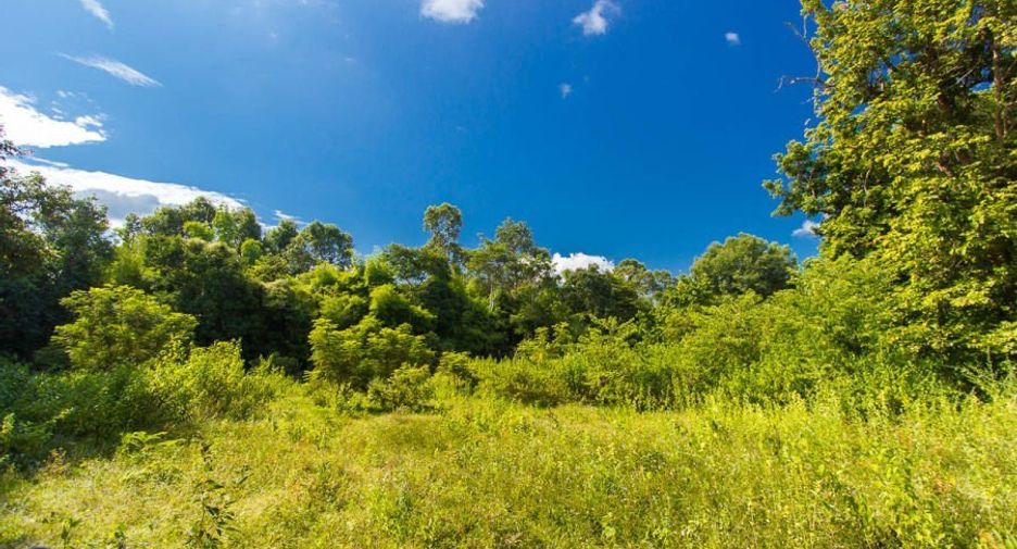 For sale land in Mueang Ubon Ratchathani, Ubon Ratchathani
