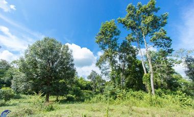 For sale land in Mueang Ubon Ratchathani, Ubon Ratchathani
