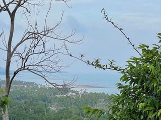 For sale land in Ko Samui, Surat Thani