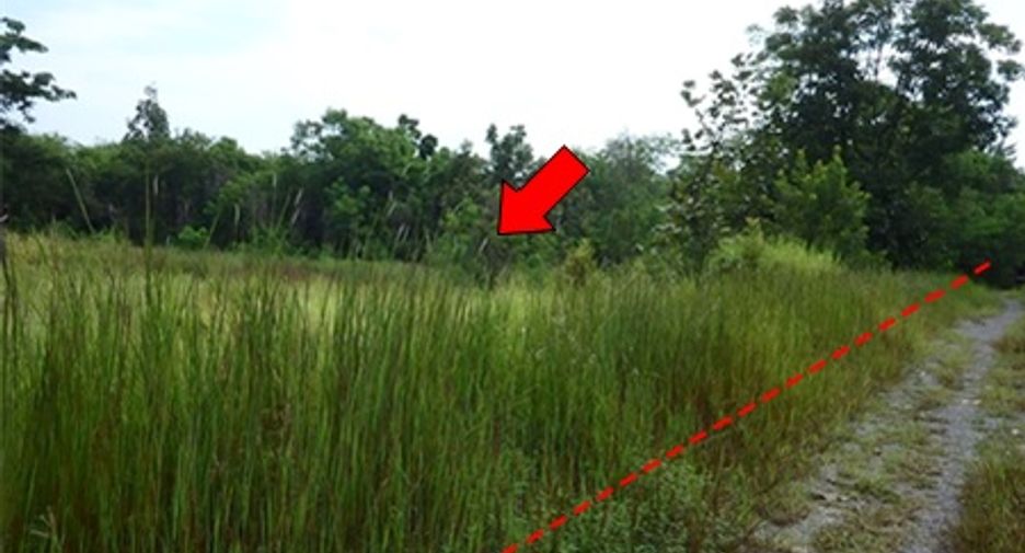 For sale land in Chon Daen, Phetchabun
