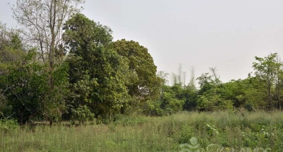 Grundstück zum Kauf in Sai Yok, Kanchanaburi