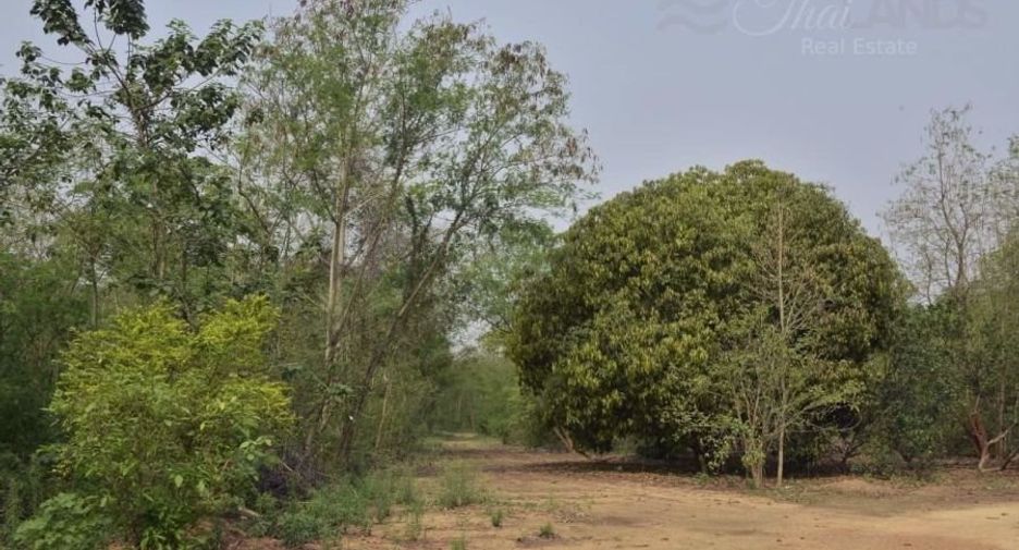 Grundstück zum Kauf in Sai Yok, Kanchanaburi