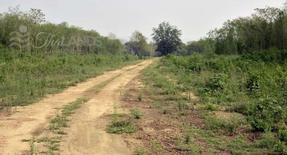 Grundstück zum Kauf in Sai Yok, Kanchanaburi