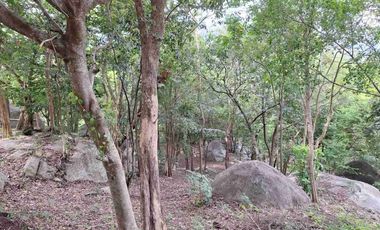 For sale land in Ko Samui, Surat Thani