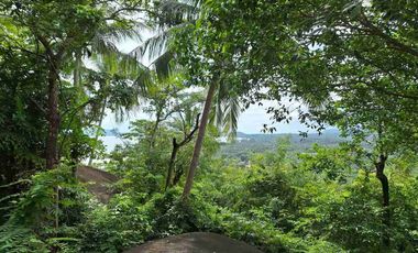 For sale land in Ko Samui, Surat Thani