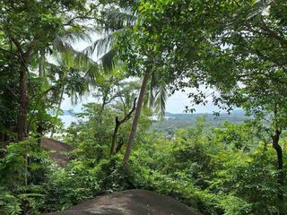 For sale land in Ko Samui, Surat Thani