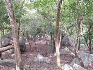 For sale land in Ko Samui, Surat Thani