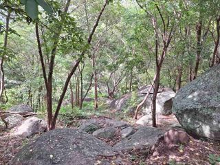 For sale land in Ko Samui, Surat Thani