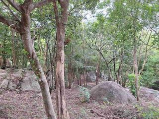 For sale land in Ko Samui, Surat Thani