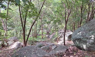For sale land in Ko Samui, Surat Thani