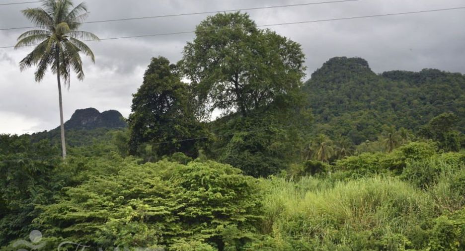 Grundstück zum Kauf in Thong Pha Phum, Kanchanaburi