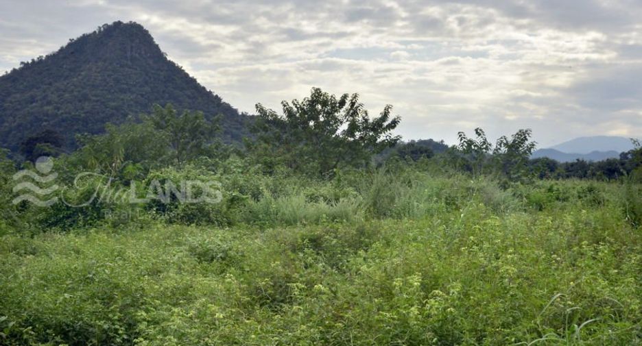 ขาย ที่ดิน ใน ไทรโยค, กาญจนบุรี