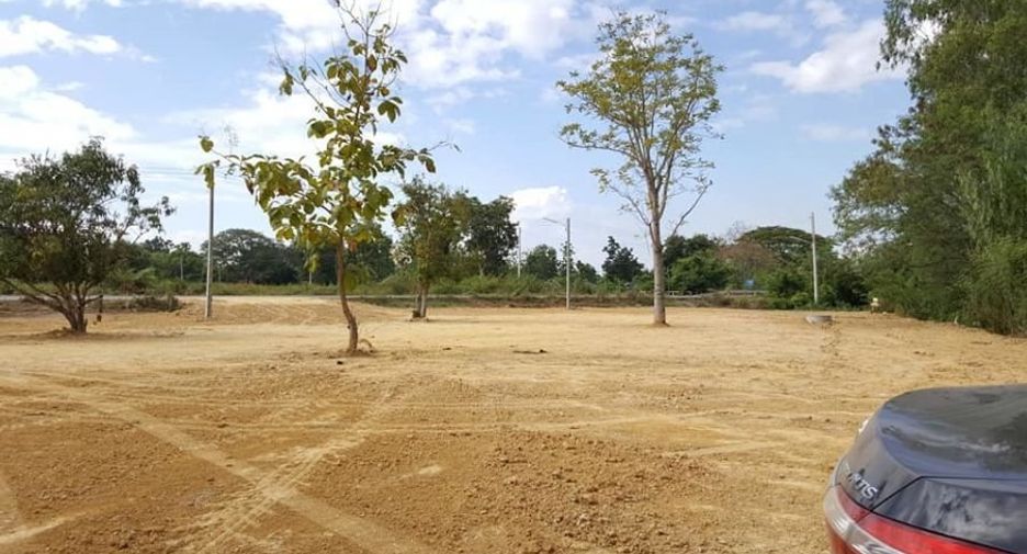 For rent and for sale land in San Pa Tong, Chiang Mai