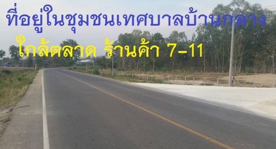 For rent and for sale land in San Pa Tong, Chiang Mai