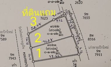 For rent and for sale land in San Pa Tong, Chiang Mai