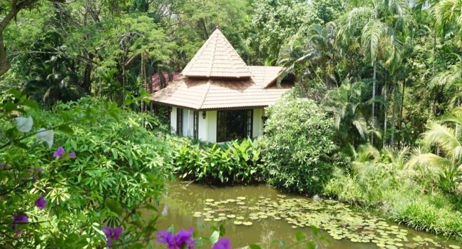 For rent and for sale 6 bedrooms house in San Sai, Chiang Mai