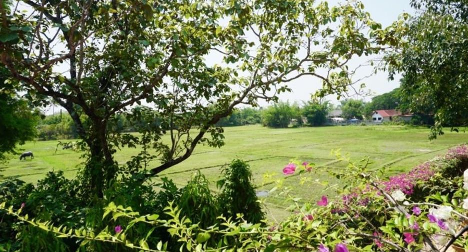 For rent and for sale 6 bedrooms house in San Sai, Chiang Mai