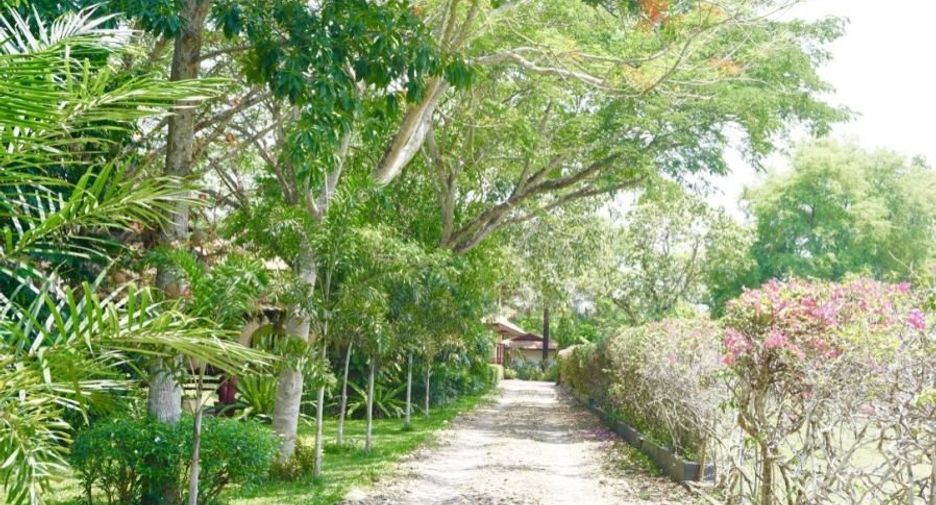 For rent and for sale 6 bedrooms house in San Sai, Chiang Mai