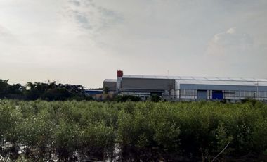 出售 土地 在 Mueang Samut Prakan, Samut Prakan