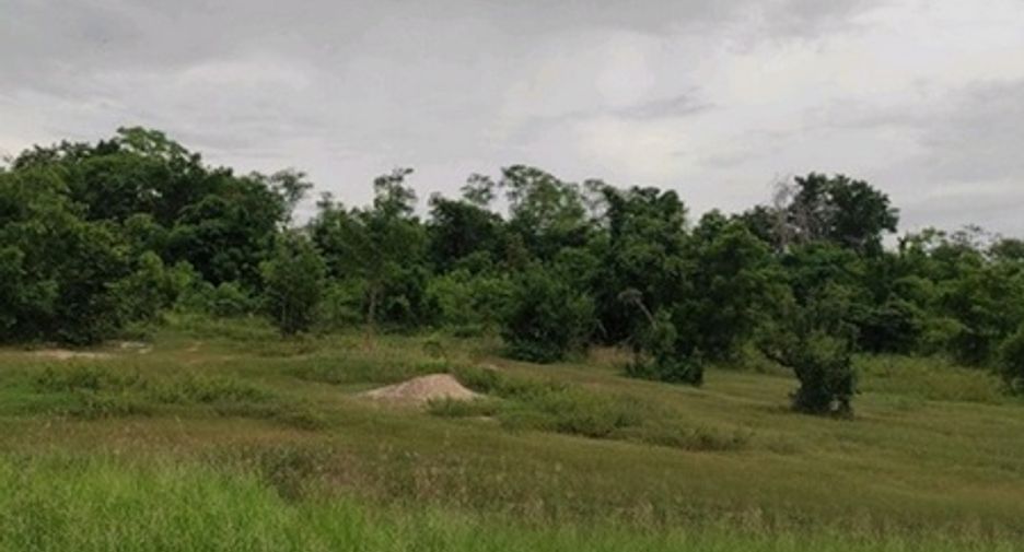 出售 土地 在 Chok Chai, Nakhon Ratchasima