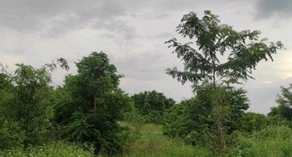 出售 土地 在 Chok Chai, Nakhon Ratchasima