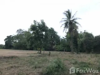 For sale land in Sam Ngao, Tak