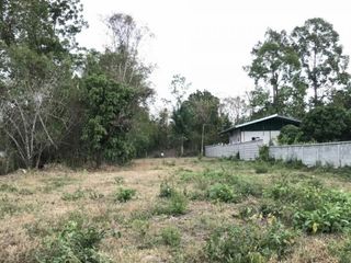 For sale land in Sam Ngao, Tak