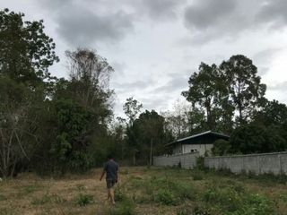 For sale land in Sam Ngao, Tak
