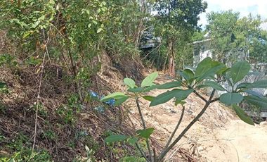 For sale land in Ko Samui, Surat Thani