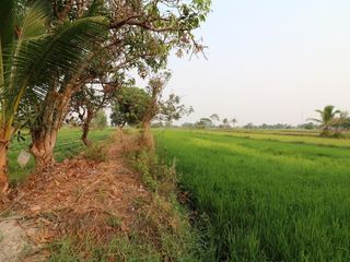 For sale land in Mueang Sakon Nakhon, Sakon Nakhon