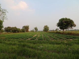 For sale land in Mueang Sakon Nakhon, Sakon Nakhon