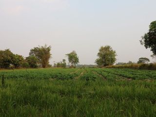 For sale land in Mueang Sakon Nakhon, Sakon Nakhon