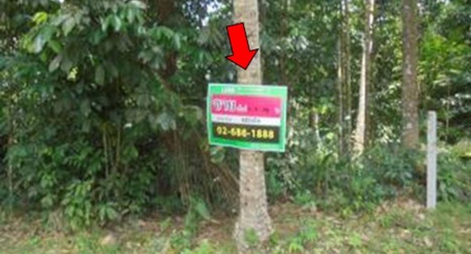 For sale land in Kapho, Pattani