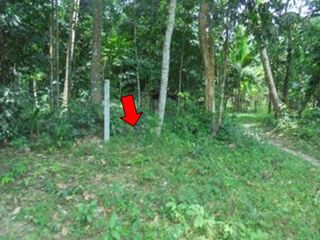 出售 土地 在 Kapho, Pattani