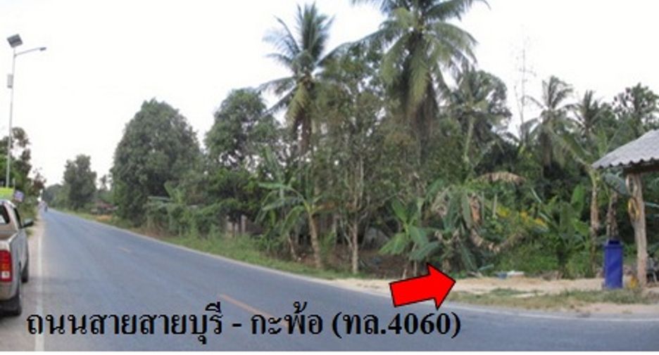 For sale land in Kapho, Pattani