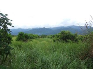 For sale land in Khun Tan, Chiang Rai