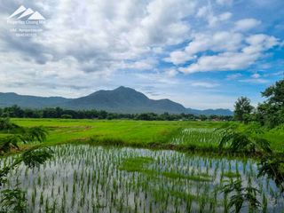 For sale land in Mae On, Chiang Mai