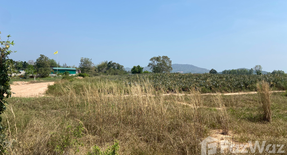 ขาย ที่ดิน ใน ปราณบุรี, ประจวบคีรีขันธ์