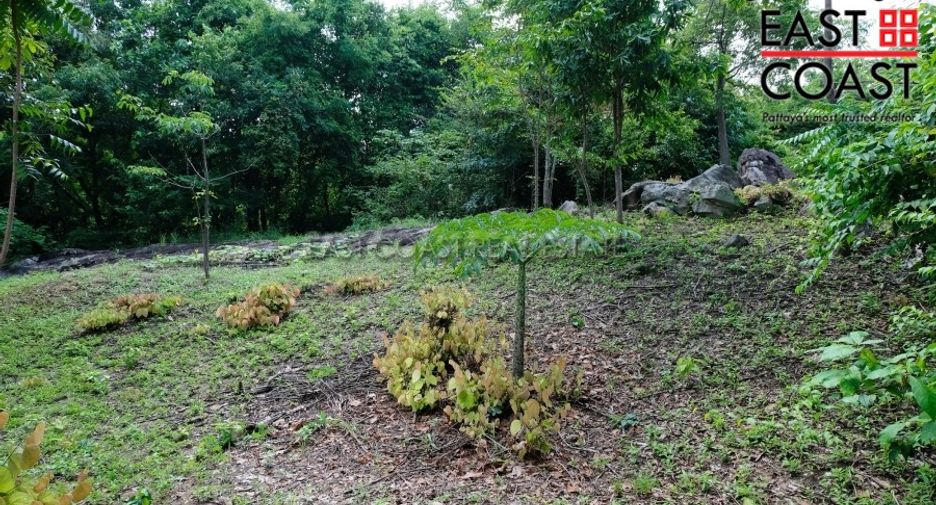 For sale land in Sattahip, Chonburi