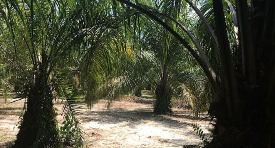 Grundstück zum Kauf in Thai Mueang, Phang Nga