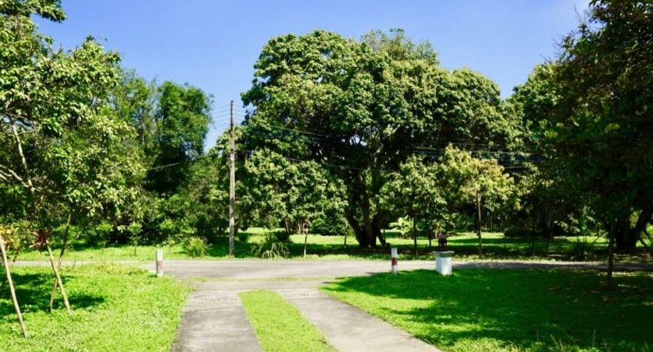 For rent 3 bedrooms house in Mueang Chiang Mai, Chiang Mai