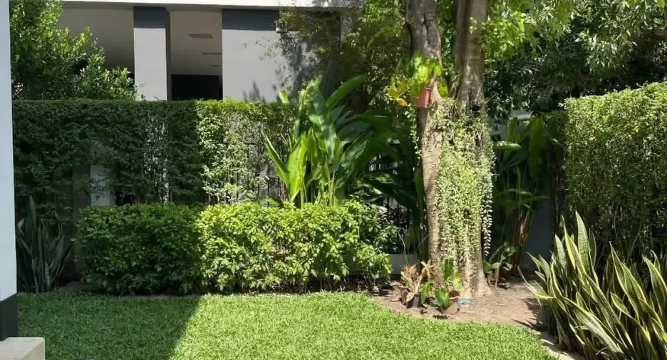 Haus zur Miete mit 4 Zimmer in Bang Kapi, Bangkok
