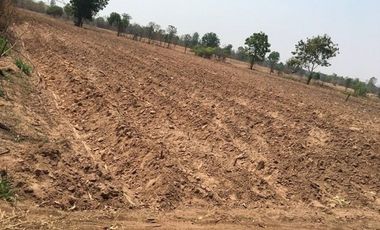 For sale land in Mueang Nakhon Ratchasima, Nakhon Ratchasima