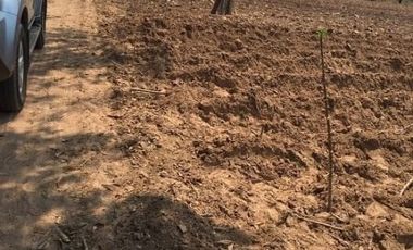 For sale land in Mueang Nakhon Ratchasima, Nakhon Ratchasima
